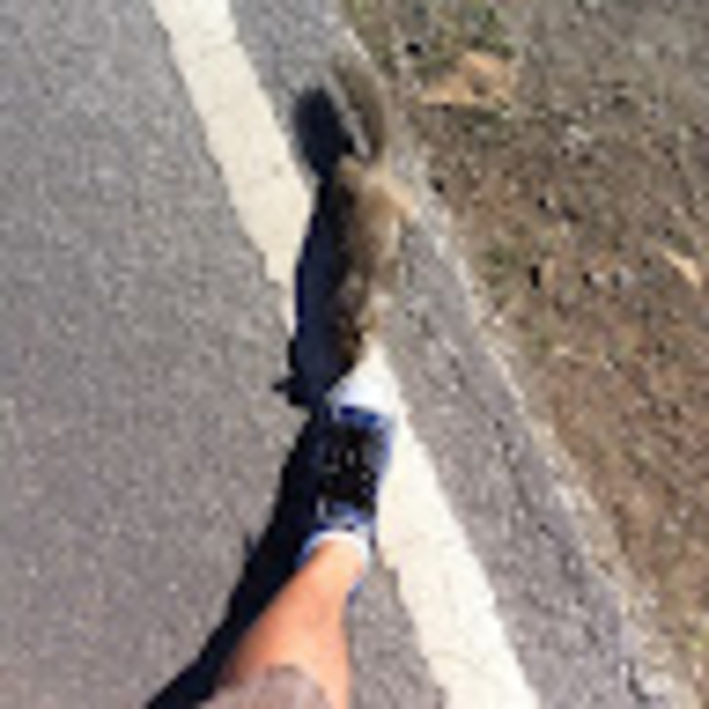 Meet your Posher, Vu